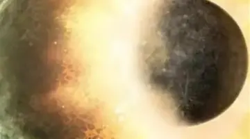 مقاييس الأرصاد الجوية الأربعة: كيف يفسر العلماء الظواهر من المجهري للعالمي؟